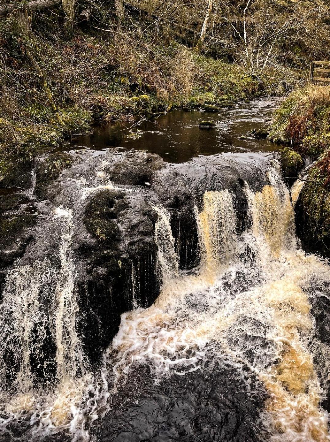 Glenariff Forest Evergreen Lodge Eksteriør bilde